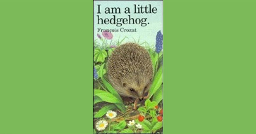 I am a little hedgehog - book cover